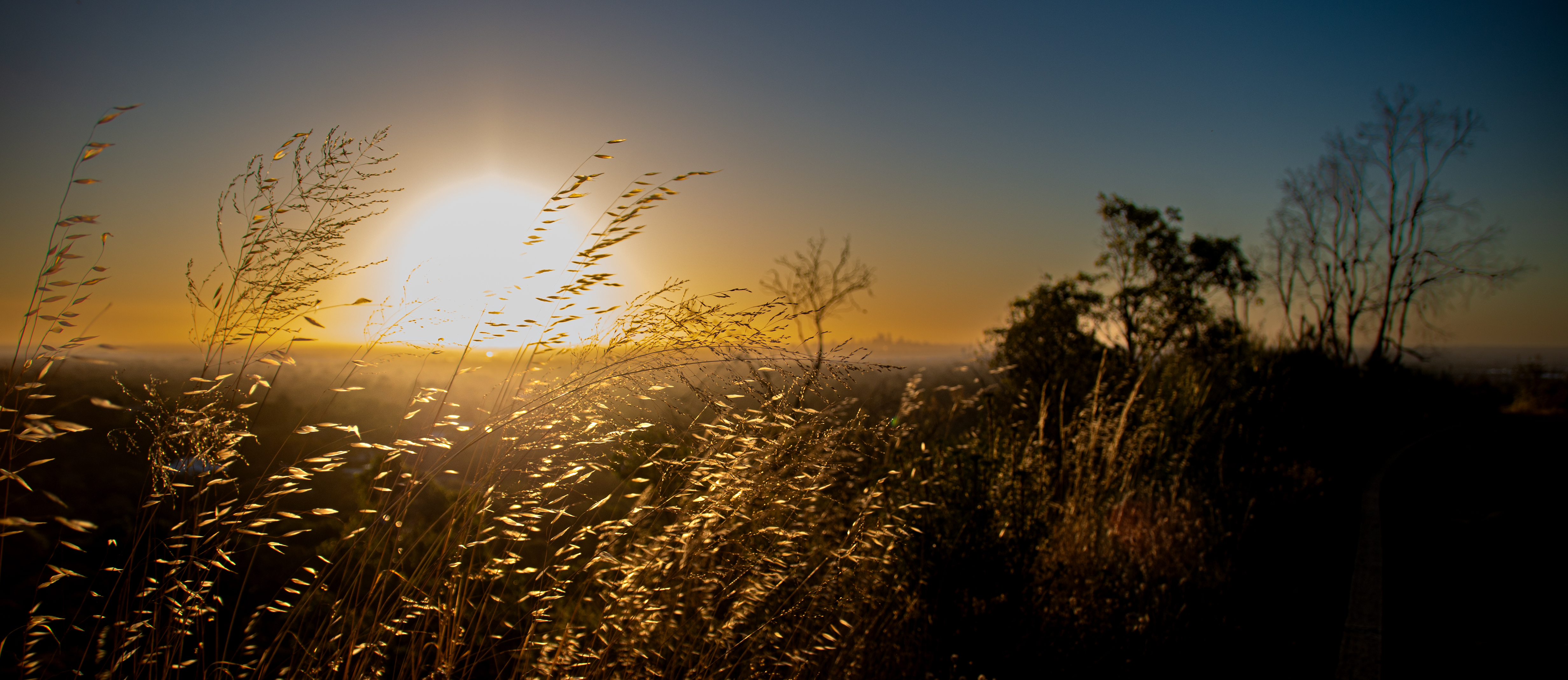 Landscapes