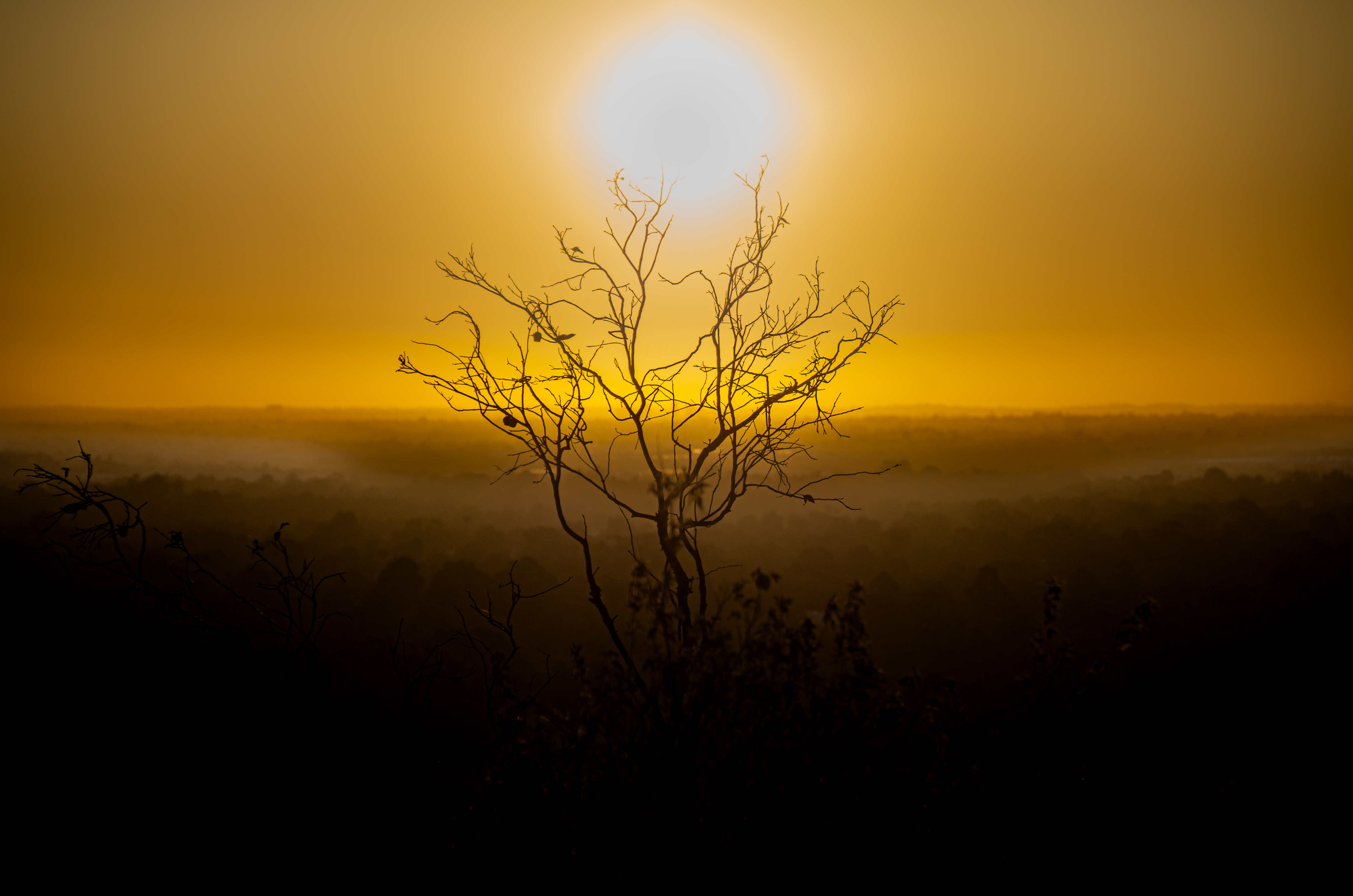 Landscapes